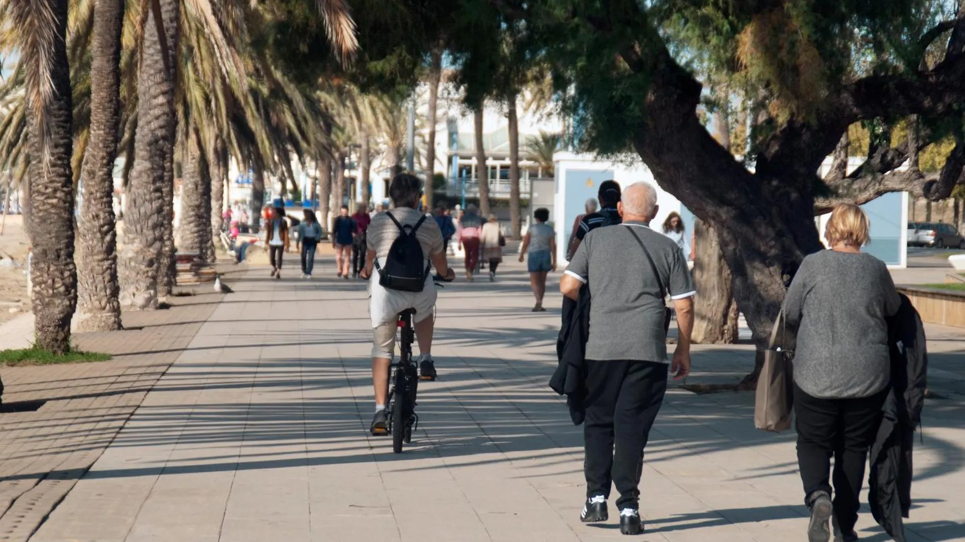 Appartamento 1039 Port Badia 1 - Apivend Immo Roses Spagna